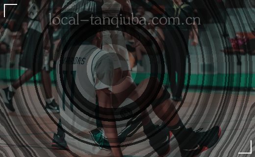 数据归档：一排彩色文件夹整齐排列在档案架上